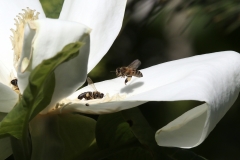 7677341B-D6BA-45CA-9422-E117FA6E9AC3_1_201_a